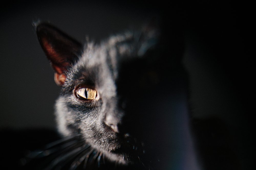 Photograph by Светлана Савочкина