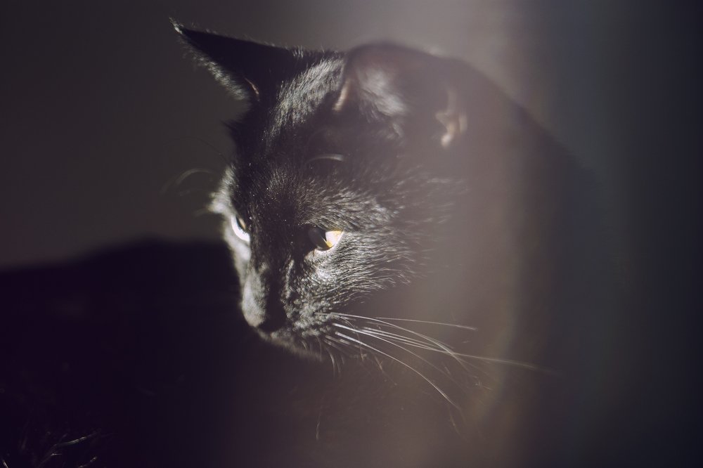 Photograph by Светлана Савочкина