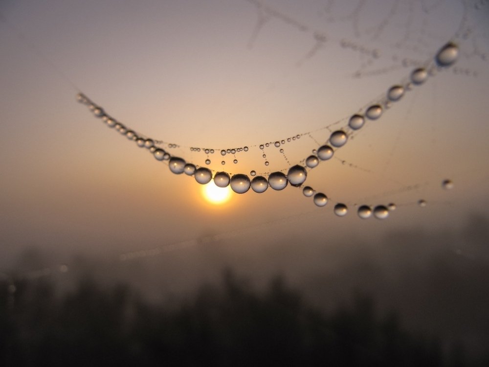 Photograph by Андрей