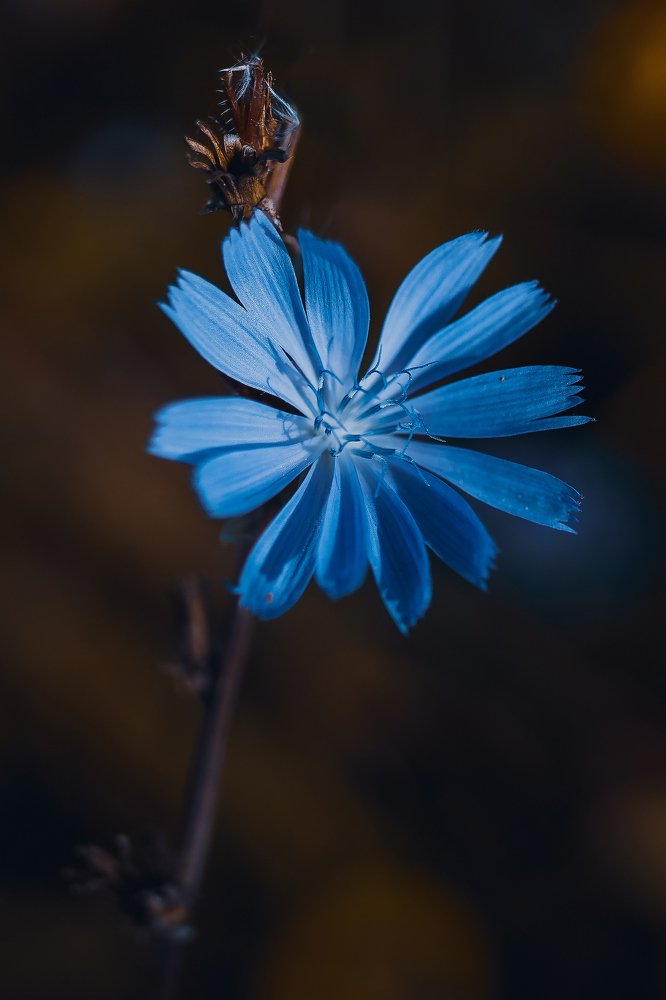 Photograph by Сергей Фомченков