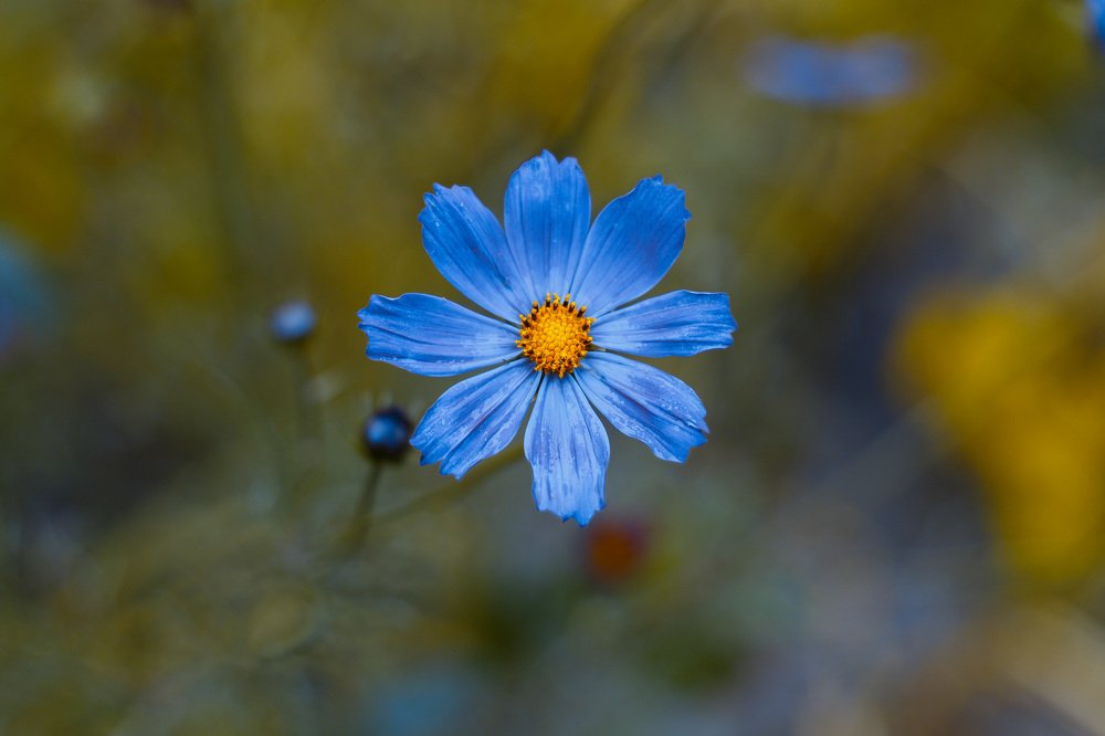 Photograph by Сергей Фомченков