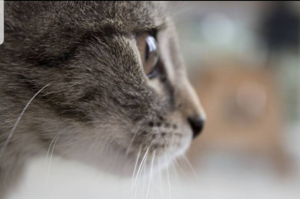 Photograph by Nadia Cisarova