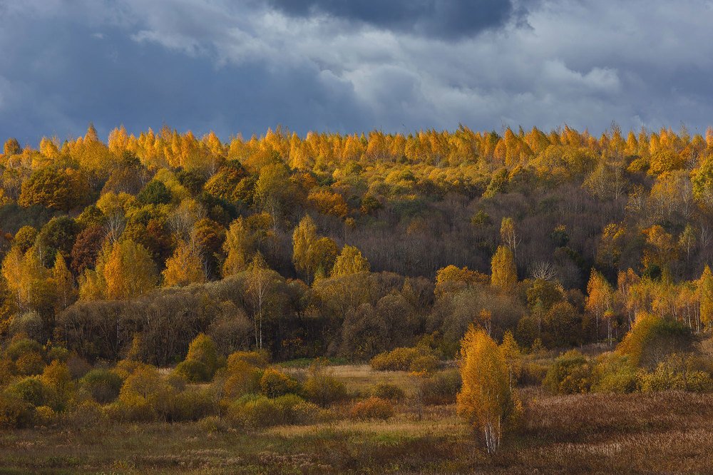 Photograph by Сергей Фомченков