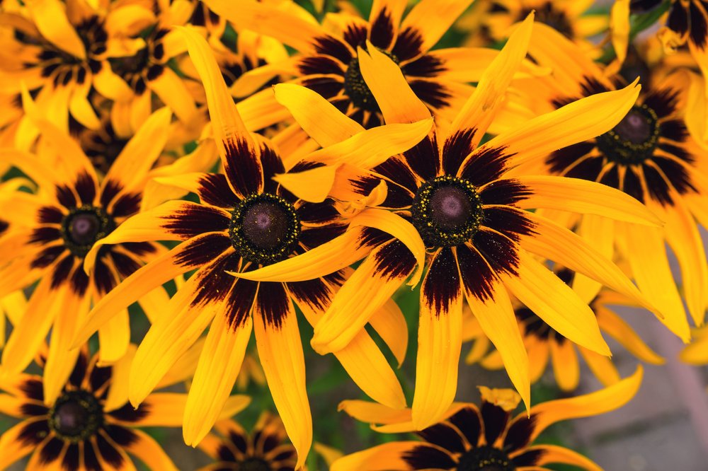 Photograph by Сергей Фомченков