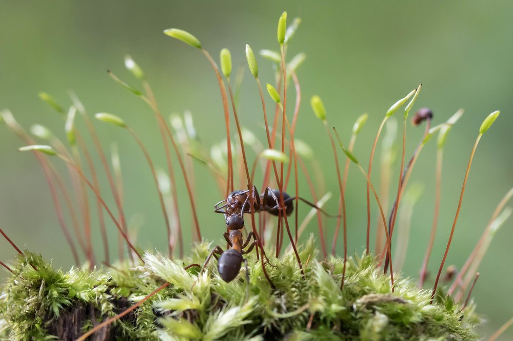 Photograph by Александр Рындин