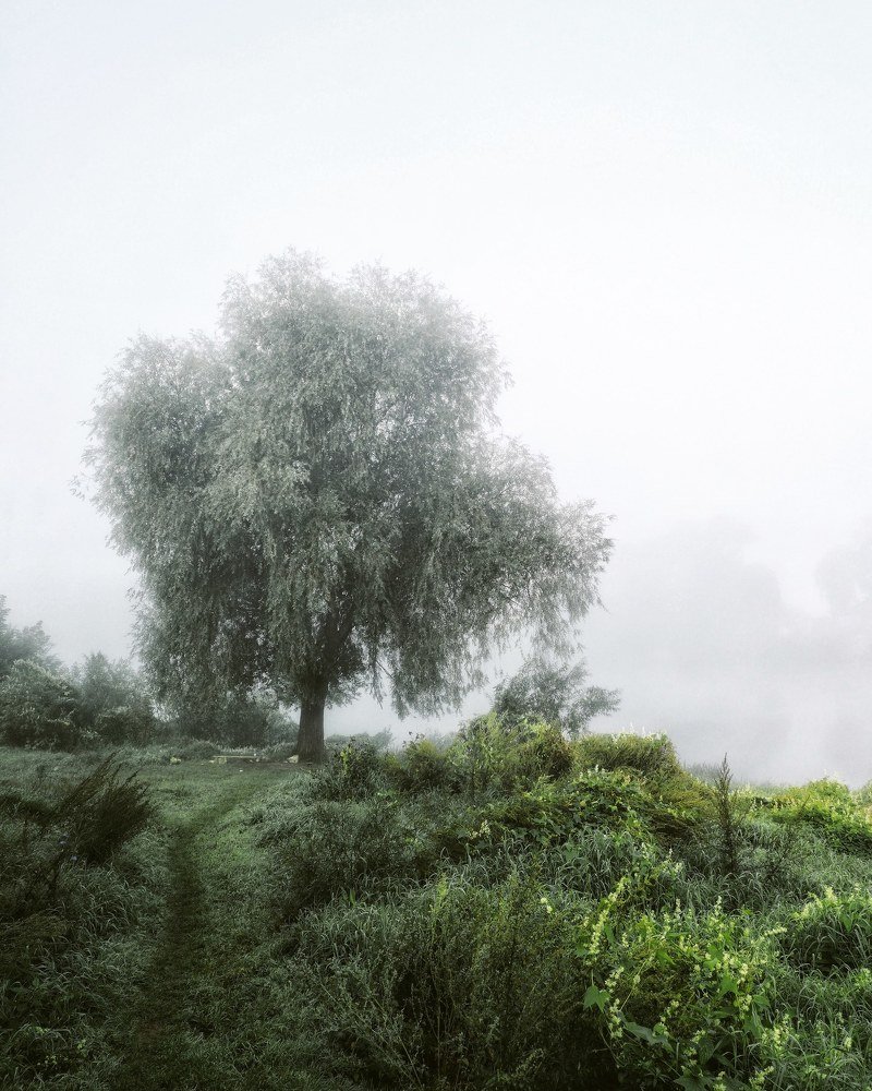 Photograph by Камила Гюндогар