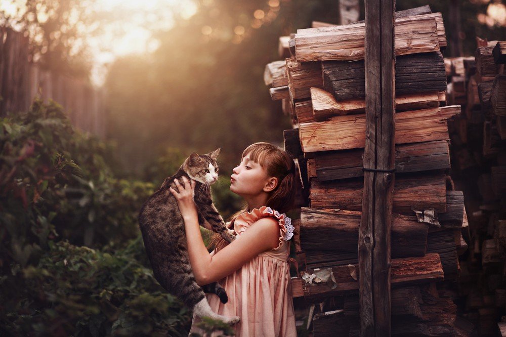 Photograph by Тома Мишина