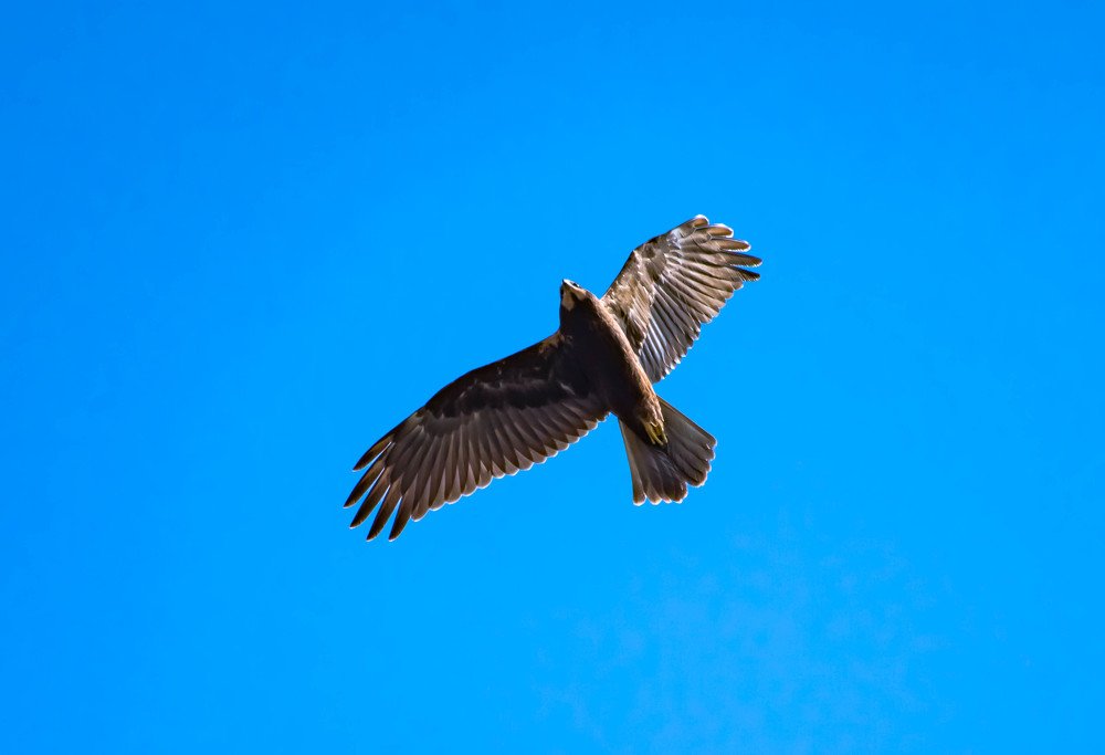 Photograph by Елена Прохорова