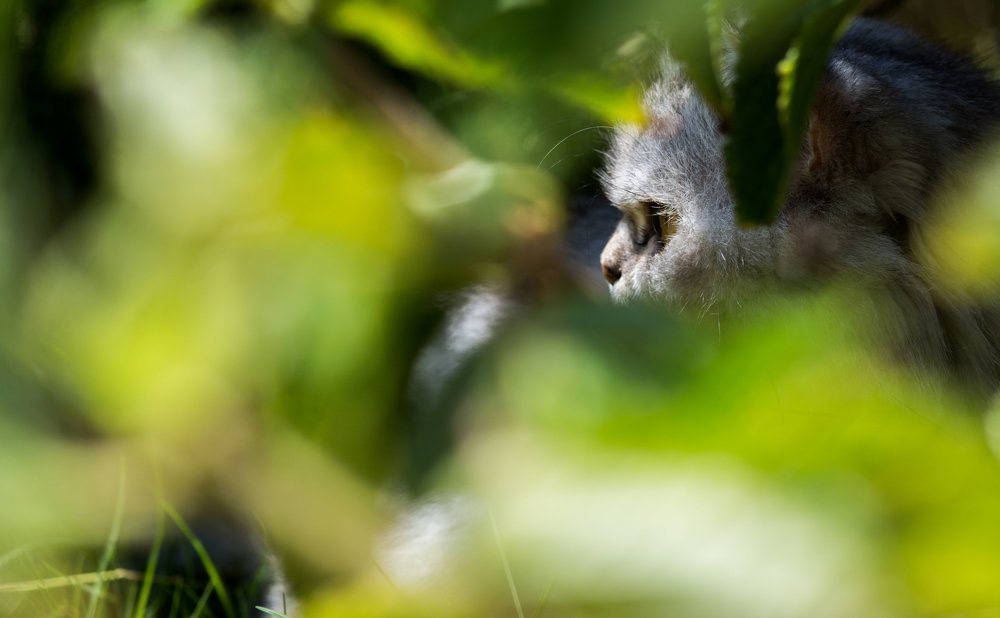 Photograph by Mohammad Harby