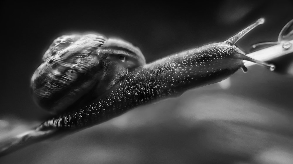 Photograph by amir badrazimi