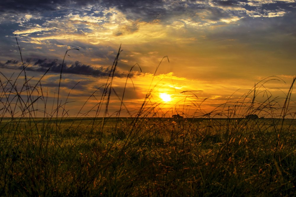 Photograph by Baltescu Alin