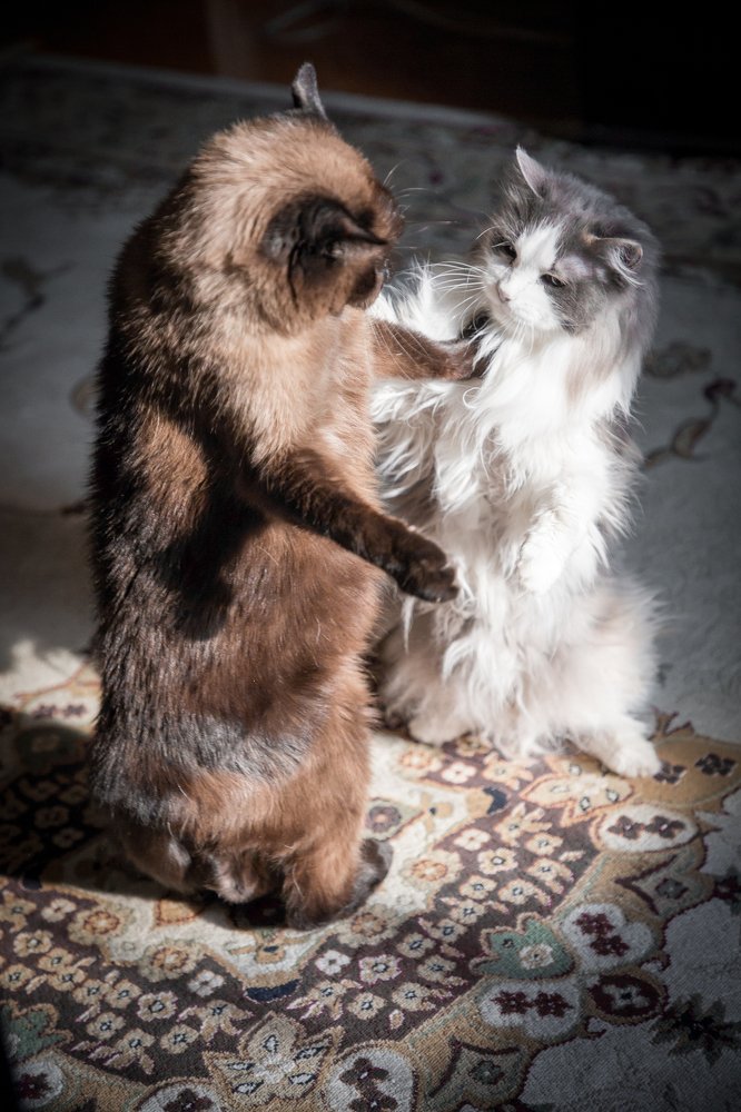 Photograph by Дмитрий Жилкин