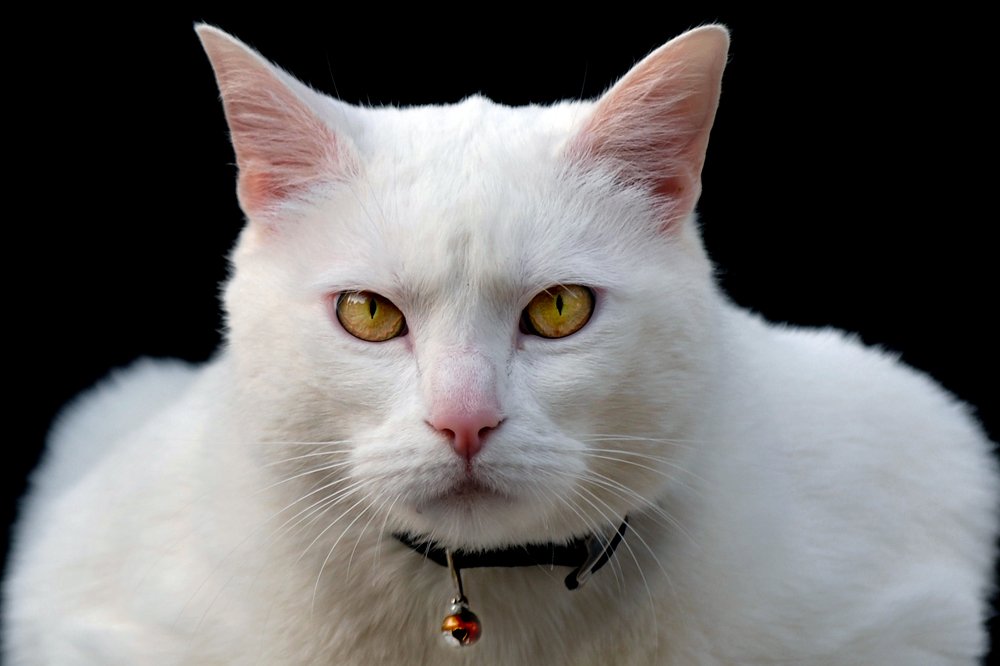 Photograph by MIO photography