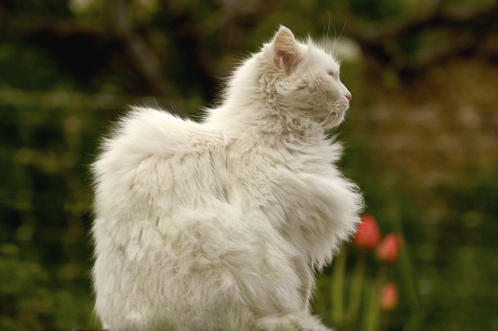 Photograph by MIO photography