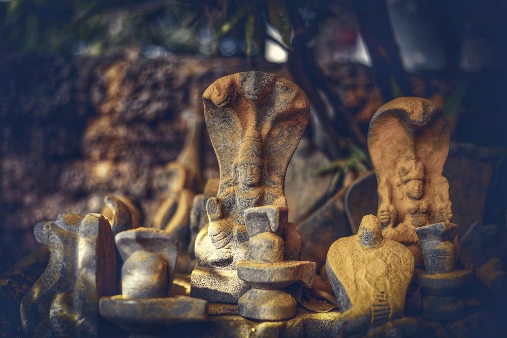 Photograph by  VISHNU AV