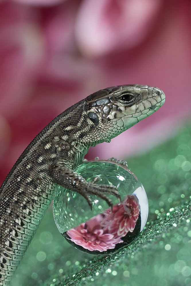 Photograph by Алексей Козлов