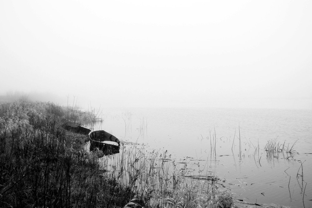 Photograph by Olga Haritonovich