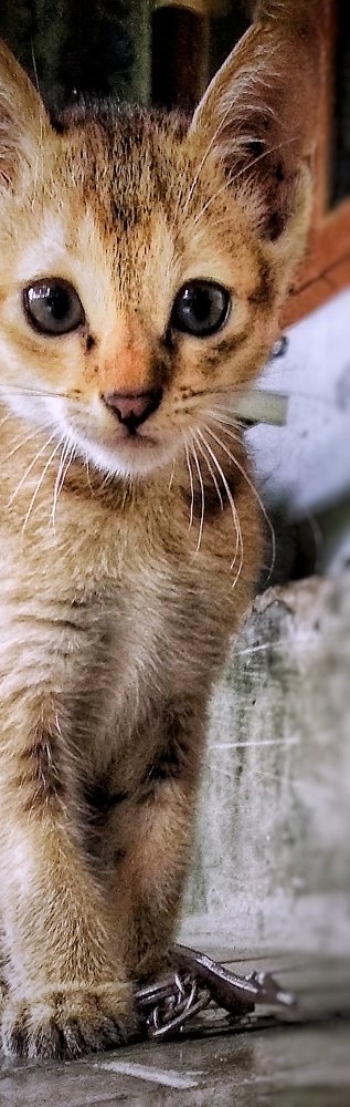 Photograph by Monuj Kr Dutta