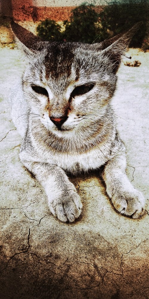 Photograph by Monuj Kr Dutta