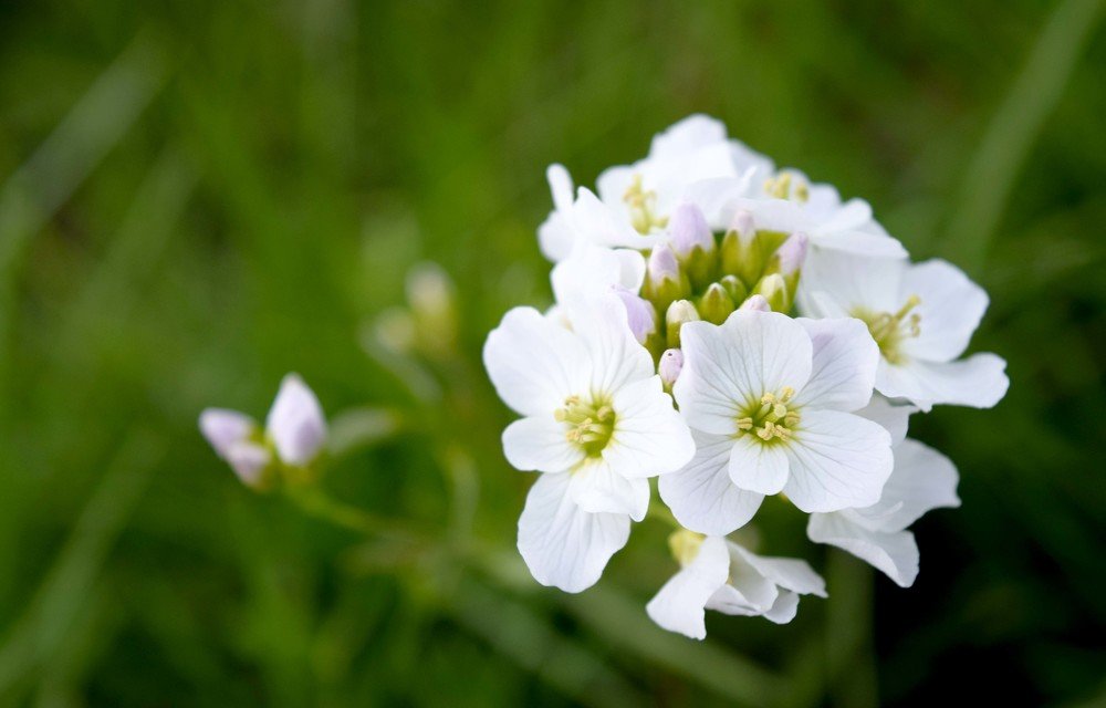 Photograph by Olga Haritonovich