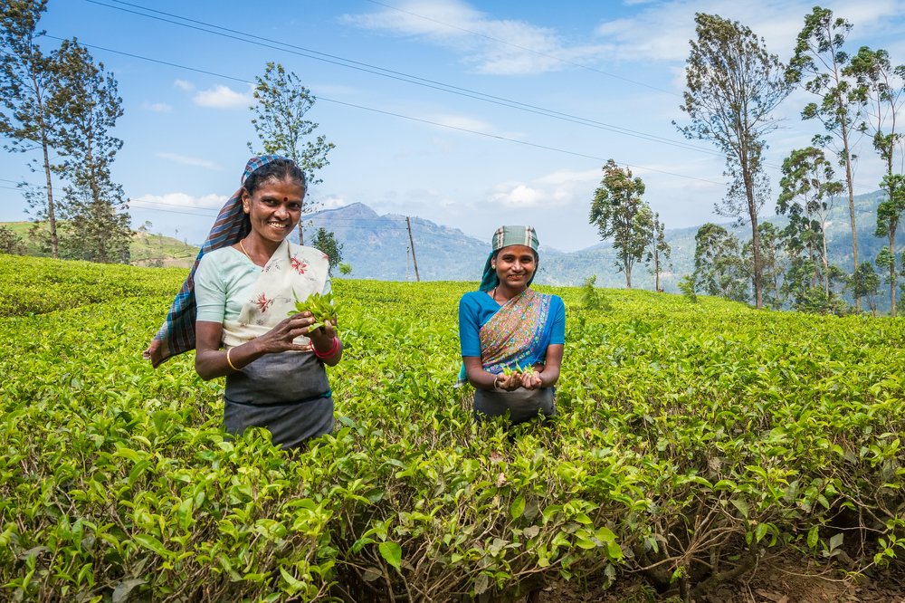 Фотография автора Андрей Пожарский