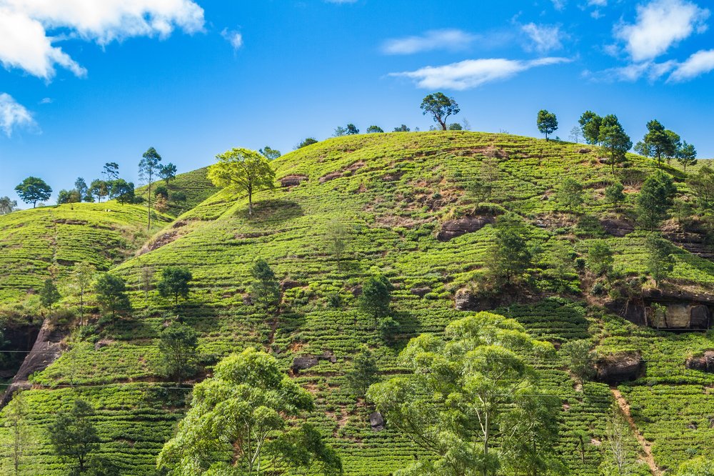 Фотография автора Андрей Пожарский