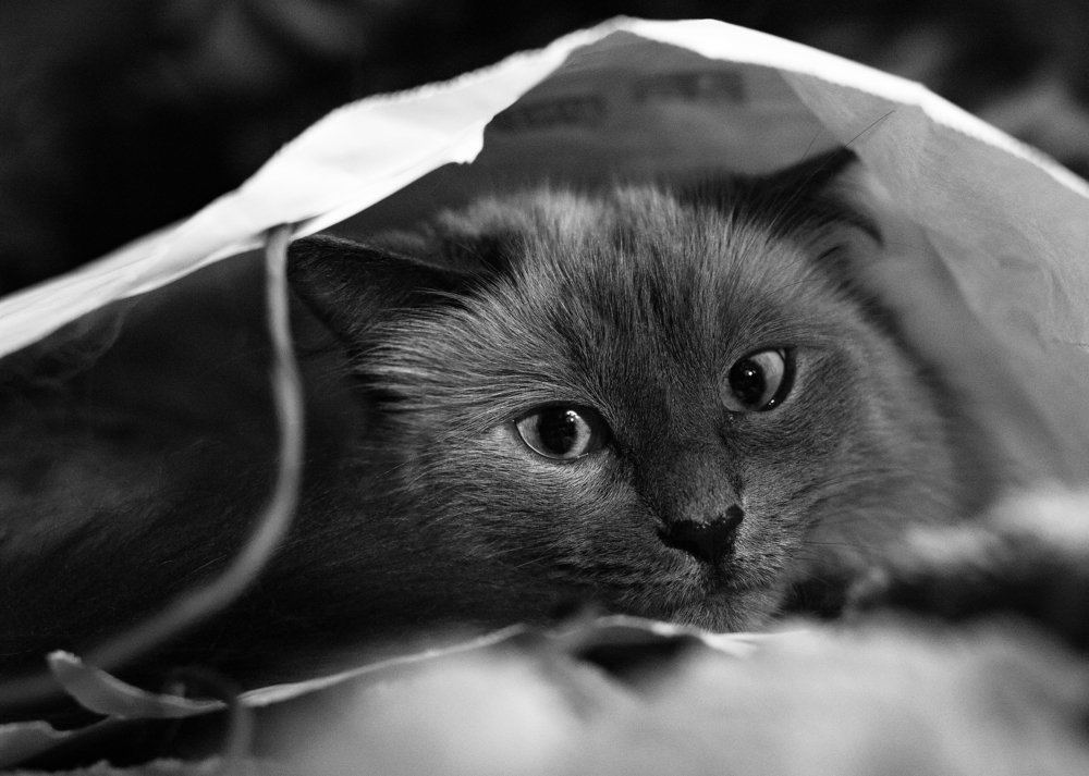 Photograph by Марина Гоз