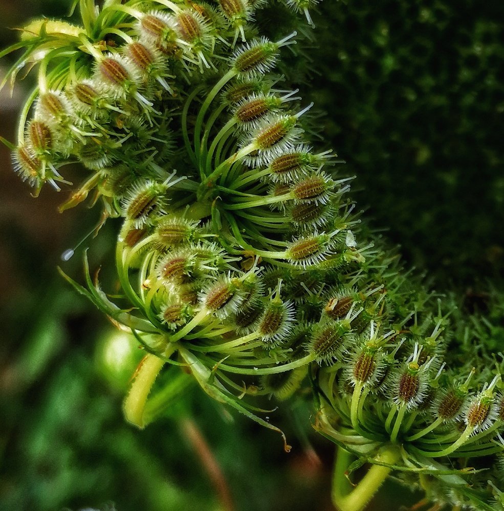 Photograph by Eva Wiedemann