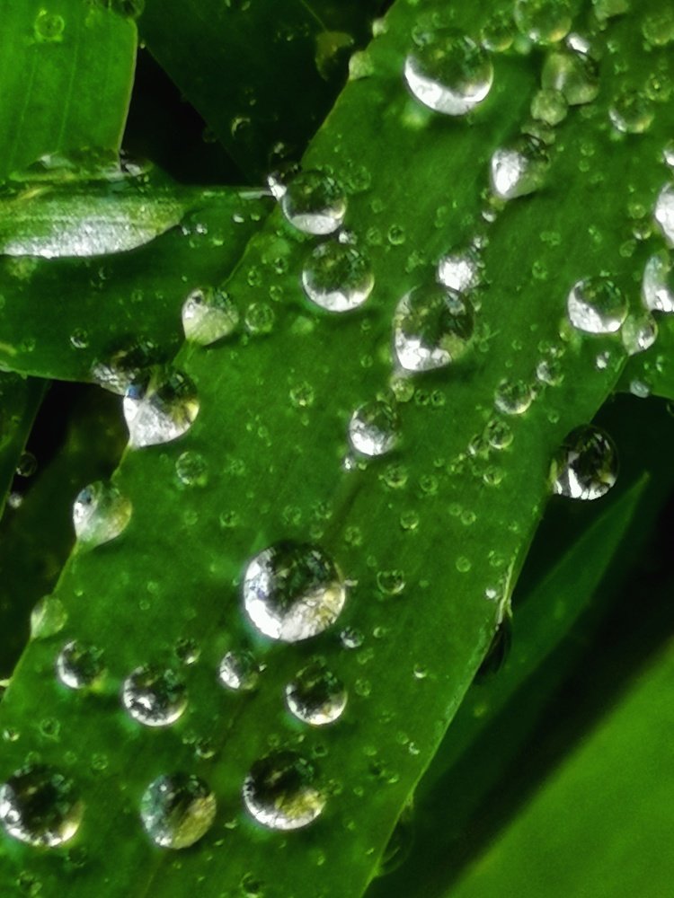 Photograph by Eva Wiedemann