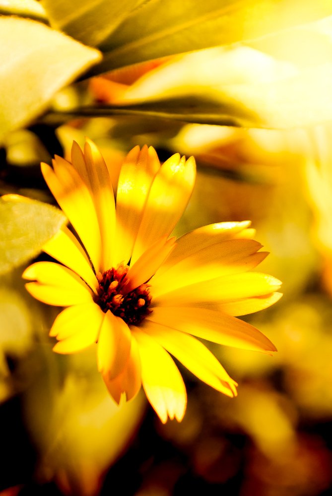 Photograph by Baltescu Alin