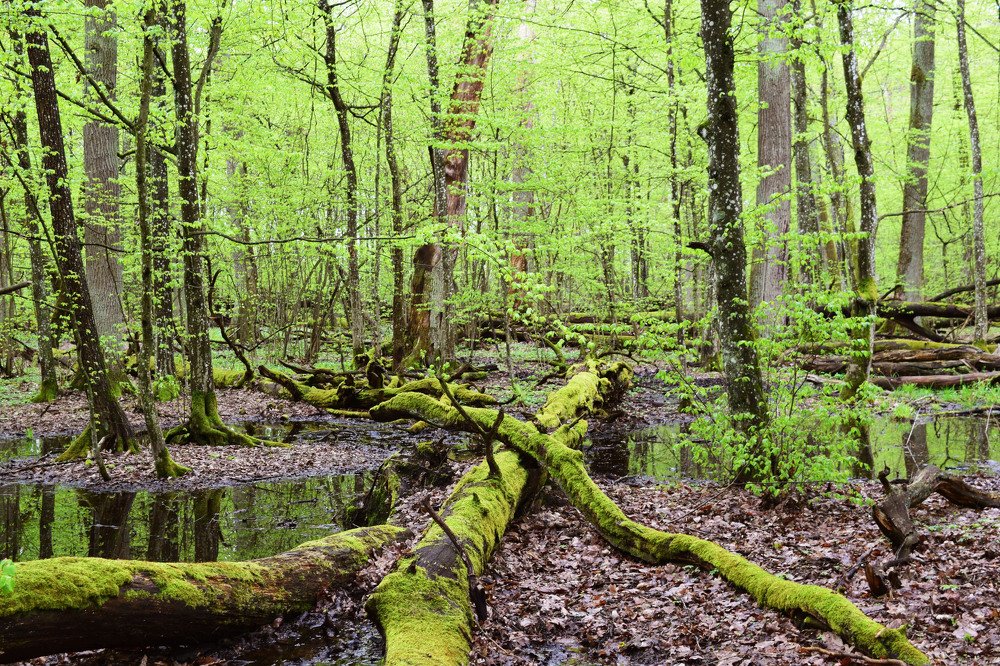 Photograph by Olga Haritonovich