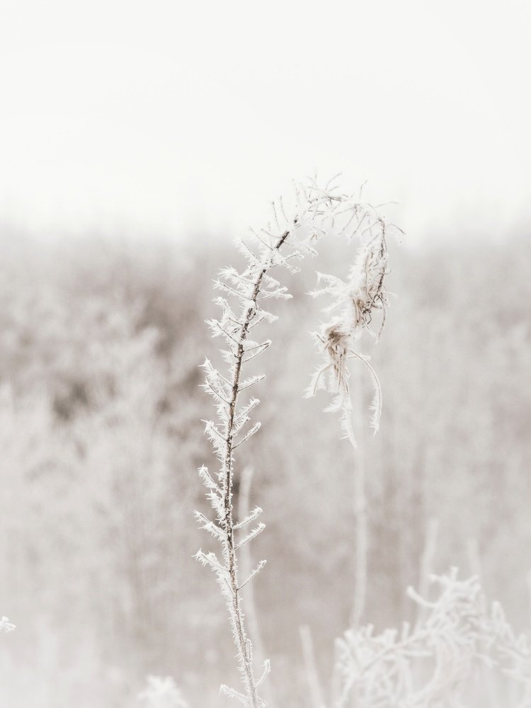 Photograph by Виктория Шлёпина