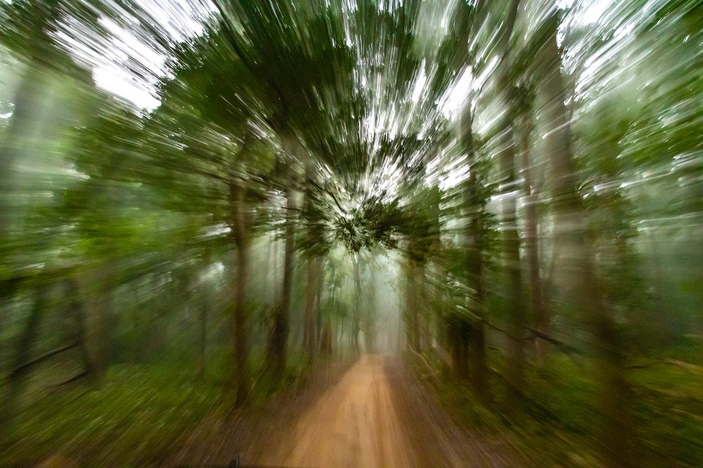 Photograph by narendra kumar pandey