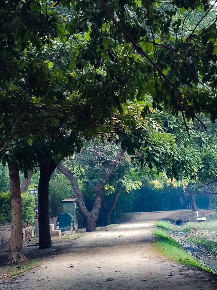 Photograph by Malik Musab