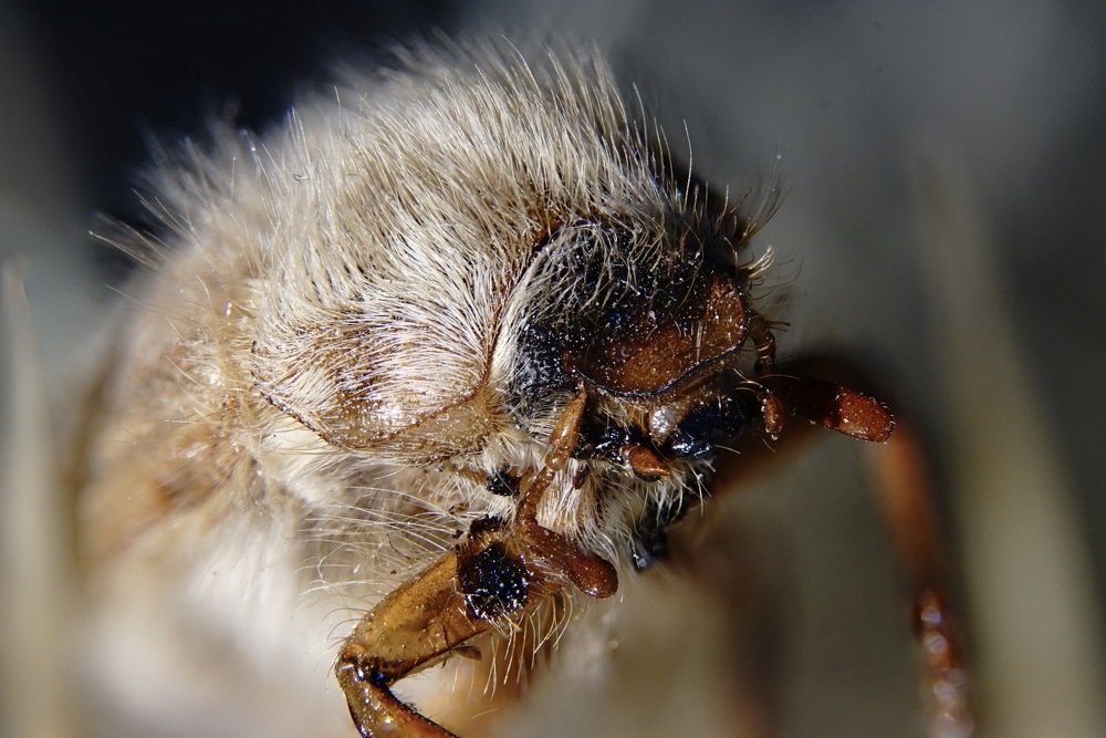 Фотография автора Lujza Stoklas