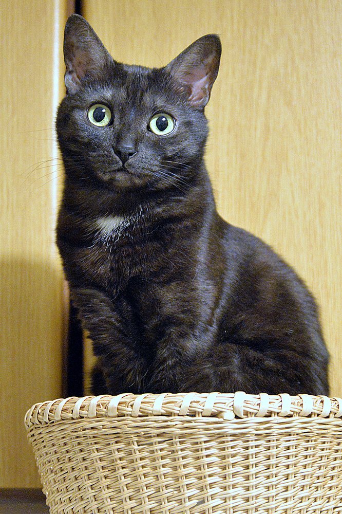 Photograph by julio cesar berisso