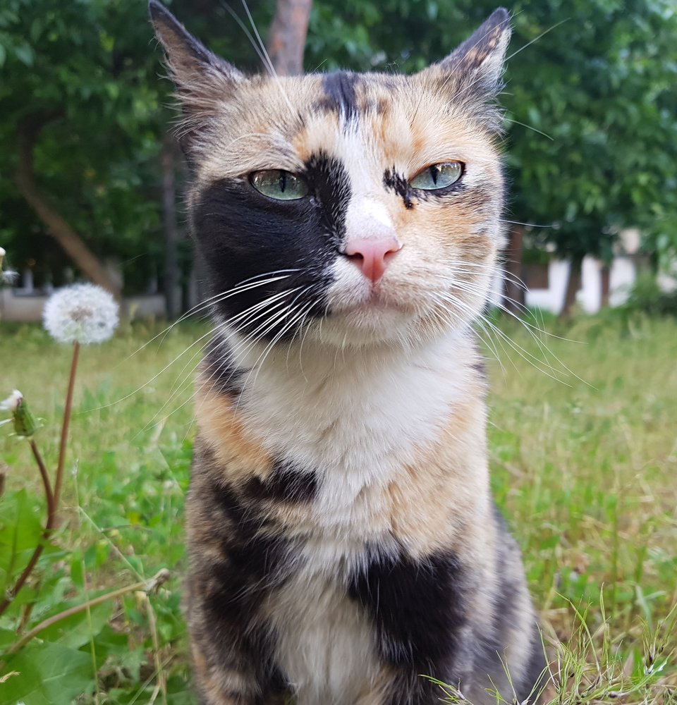 Photograph by Марина Базаревская
