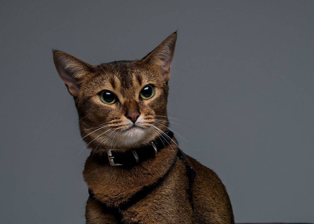 Photograph by Наталья Кодо