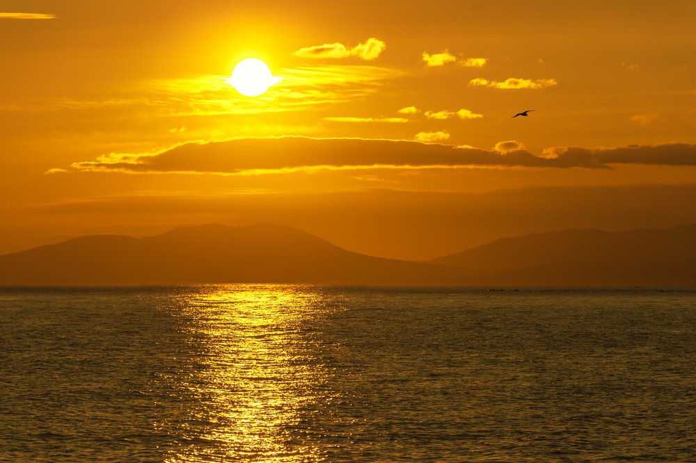 Photograph by Александр Кузнецов