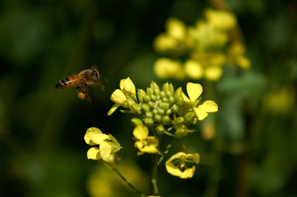 Photograph by Alexey Olkhovenko