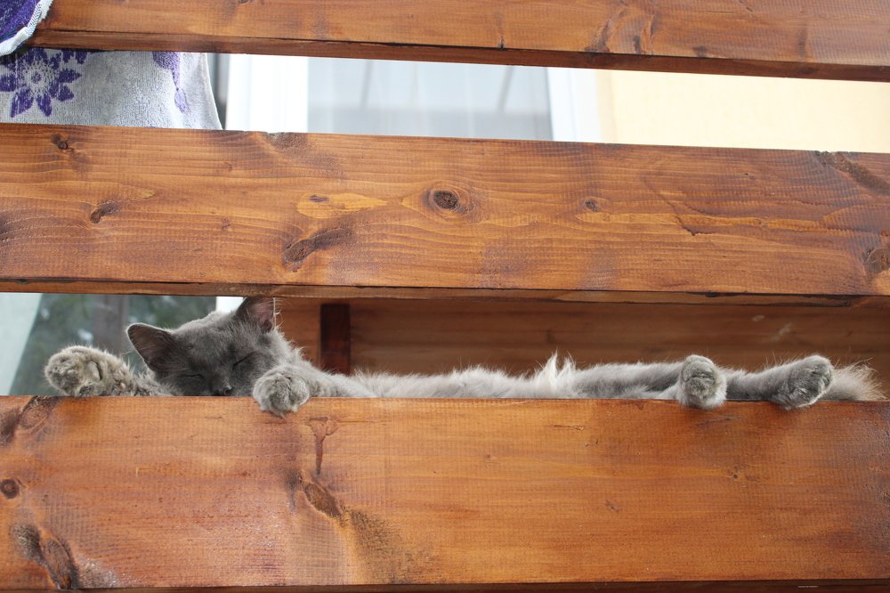 Photograph by Николай Немчанинов