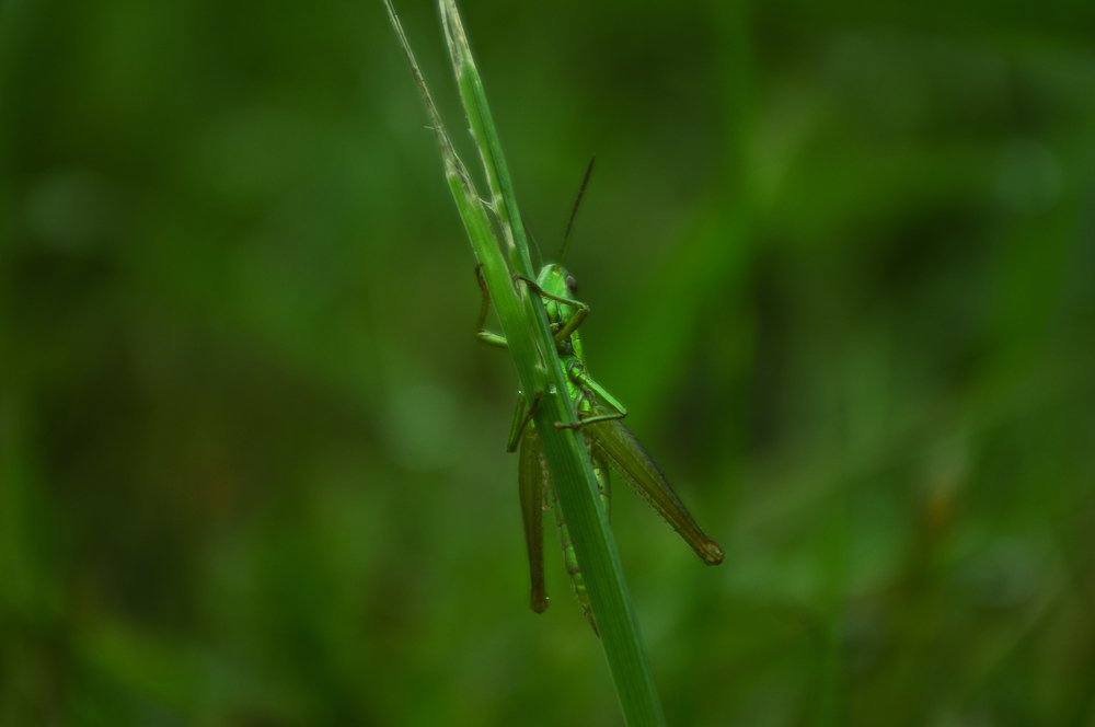 Photograph by Юлия Красильникова