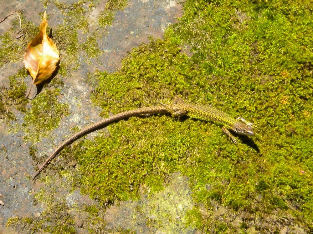 Photograph by Анатолий Зеленский