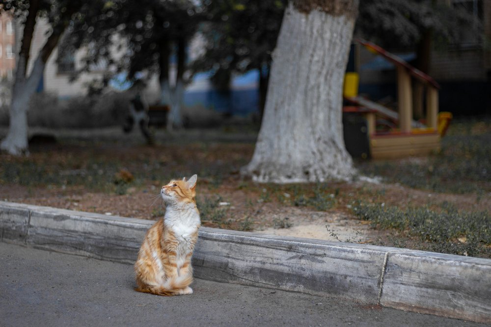 Photograph by Сергей Федоров