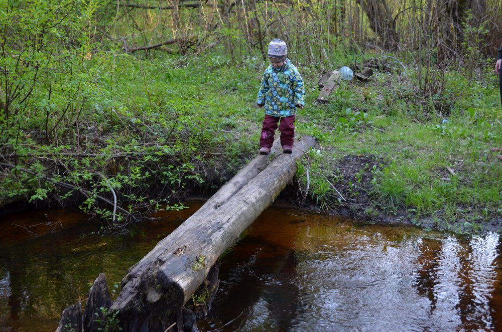 Photograph by Николай Соколовский