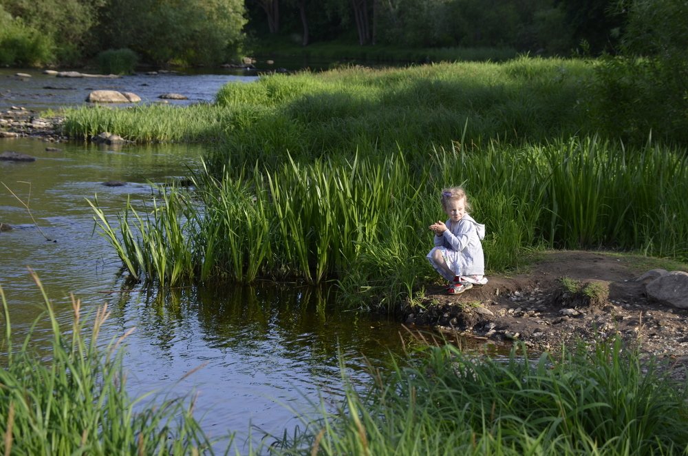 Photograph by Николай Соколовский