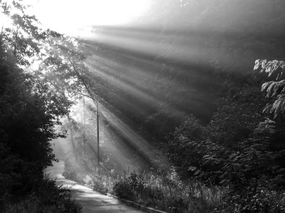 Photograph by Андрей