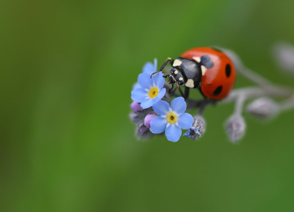 Photograph by Павел Войтукович