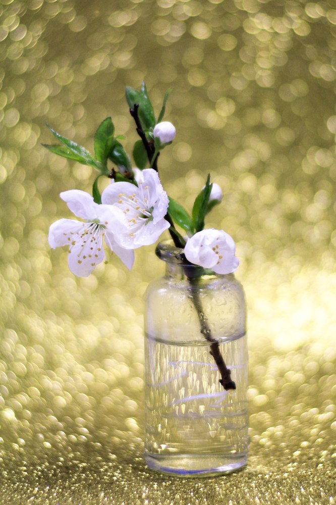 Photograph by Татьяна Шустрова