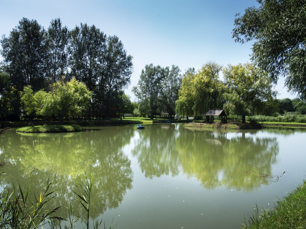 Photograph by Lászlo Havasi